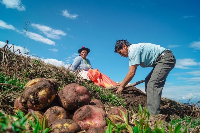 DIA AGRICULTURA_PERU 2025